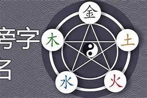 三字五行|三字五行属什么